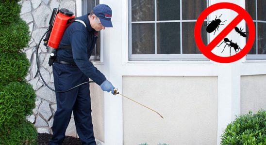 Balıkesir Akrep İlaçlama böcek ilaçlama ve haşere kontrolü — ilaclama-tr.com